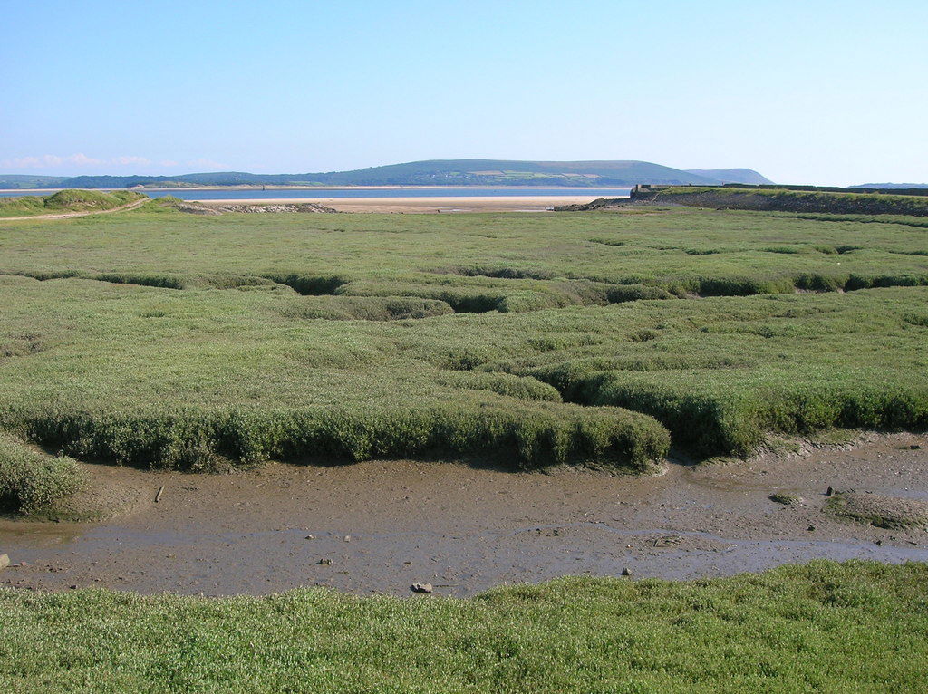 Welsh Salt Marshes and Carbon Sequestration