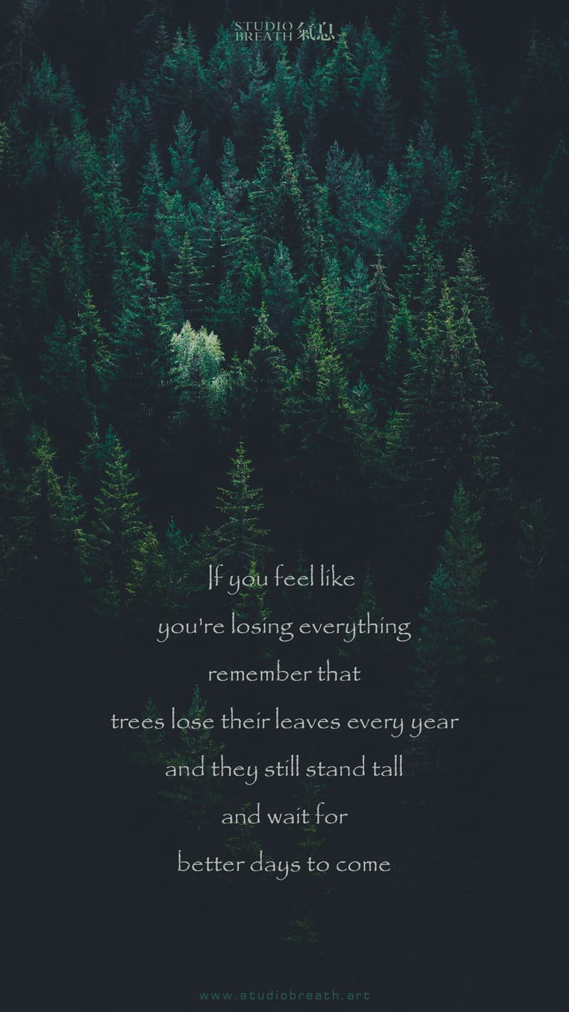 nothing to lose