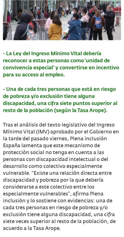 Plena inclusión lamenta que el IMV no tenga en cuenta a las personas con discapacidad intelectual o del desarrollo como colectivo especialmente vulnerable