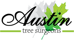 Austin Tree Services