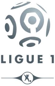 الدوري الفرنسي 2018/2019 image