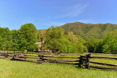 Split Rail Fence Reviews image