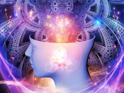 A look at neurodiversity and developmental disorders.