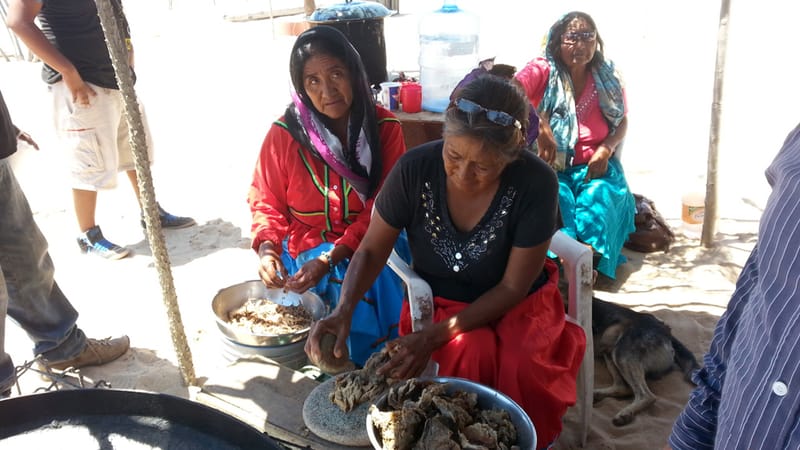 Alimentación y Economía