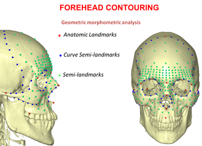 Travaux de recherche image