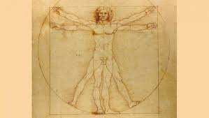 Hombre Vitruvio