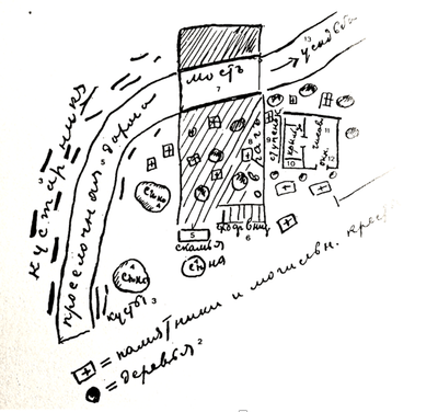 A sour cherry orchard