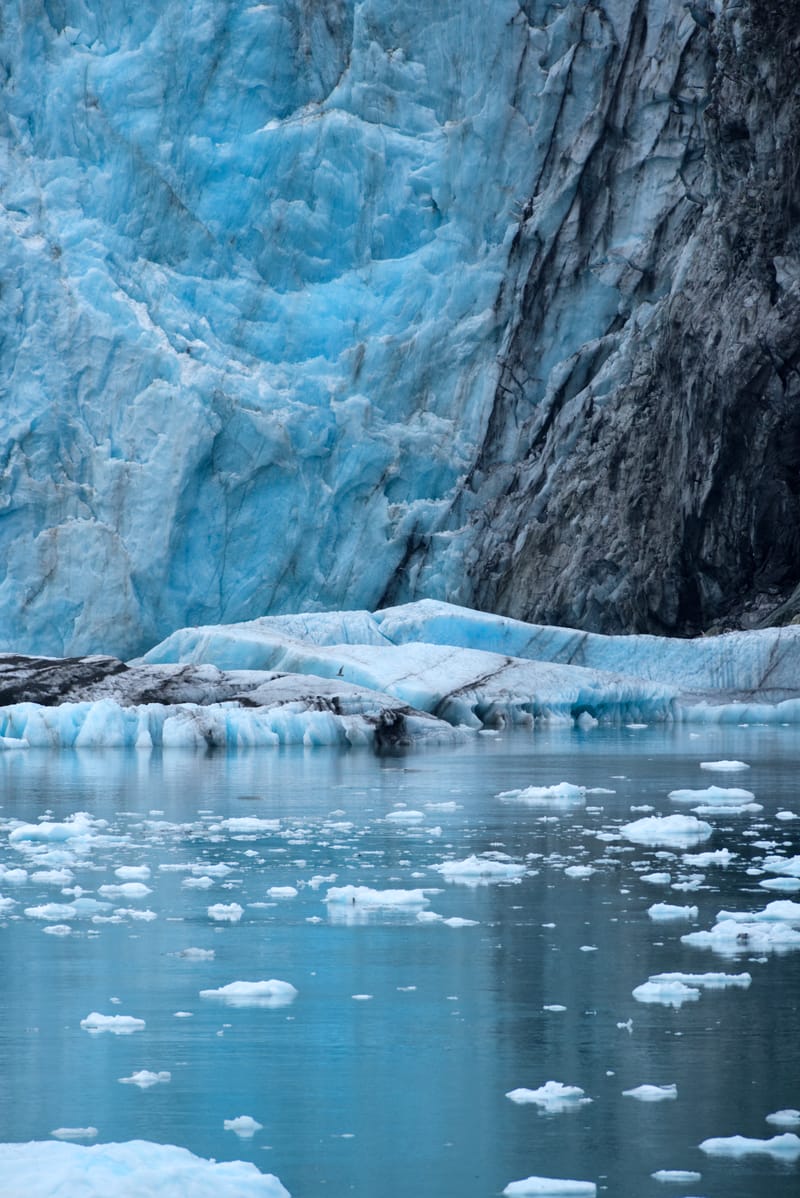 Alaska - A Glacial Cruise Adventure