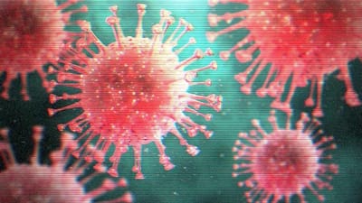 How to Save Your Restaurant Sale From Coronavirus (COVID-19)