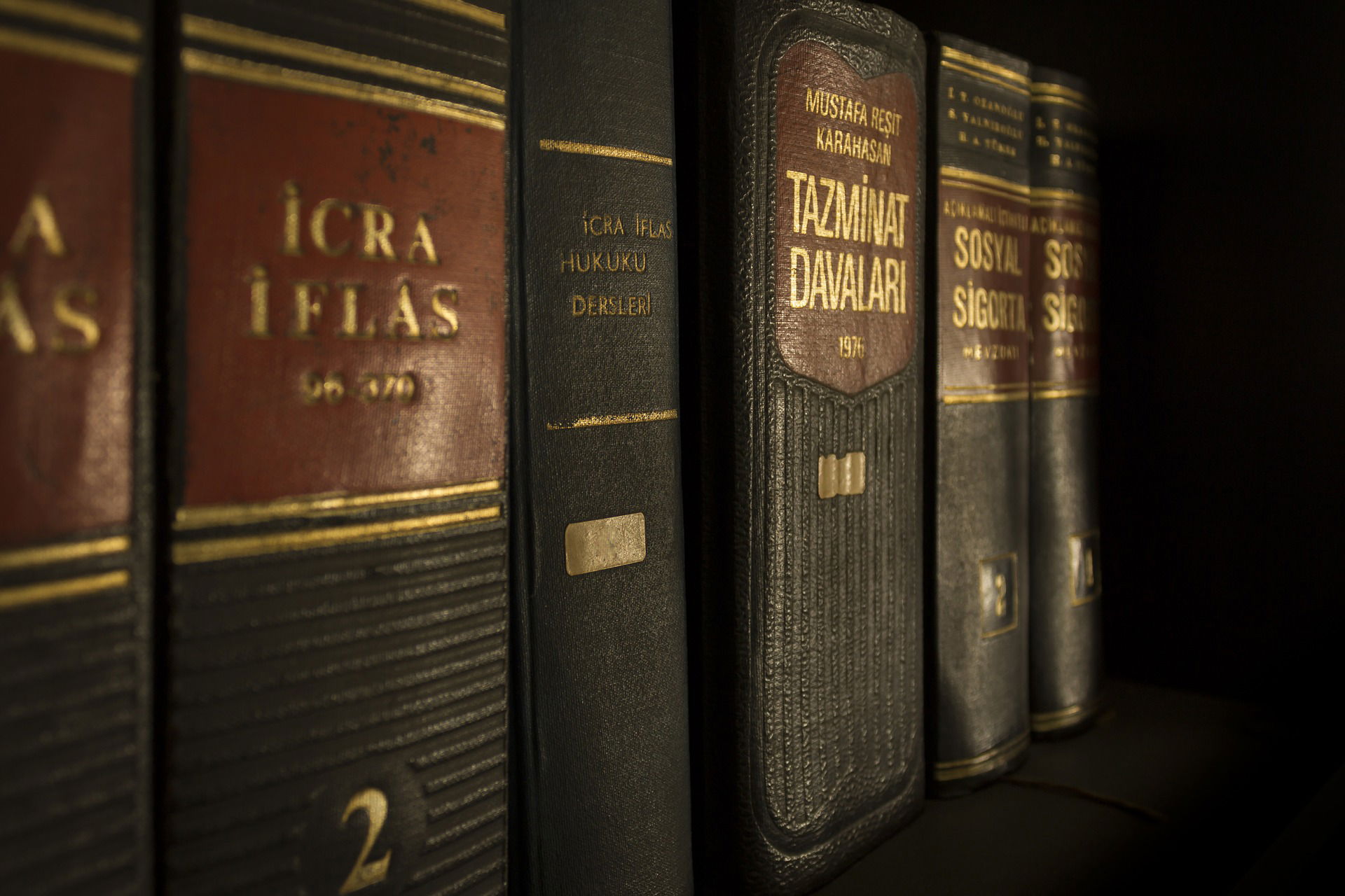 Sponsors of Literacy an Answer to Economic Disparities and Educational Inequality