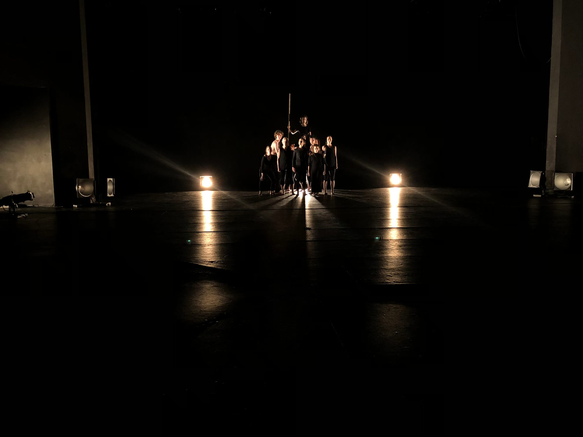 Bacchae