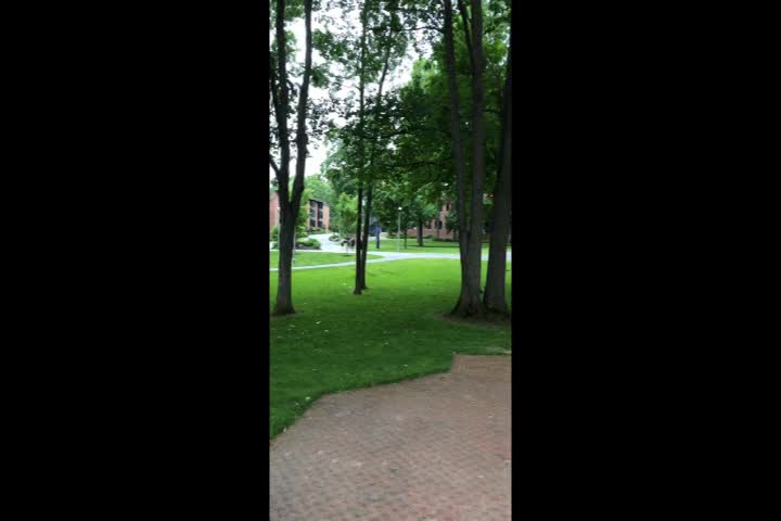 Bacchae Workshop Sample