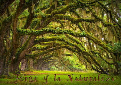 Jorge y la Naturaleza