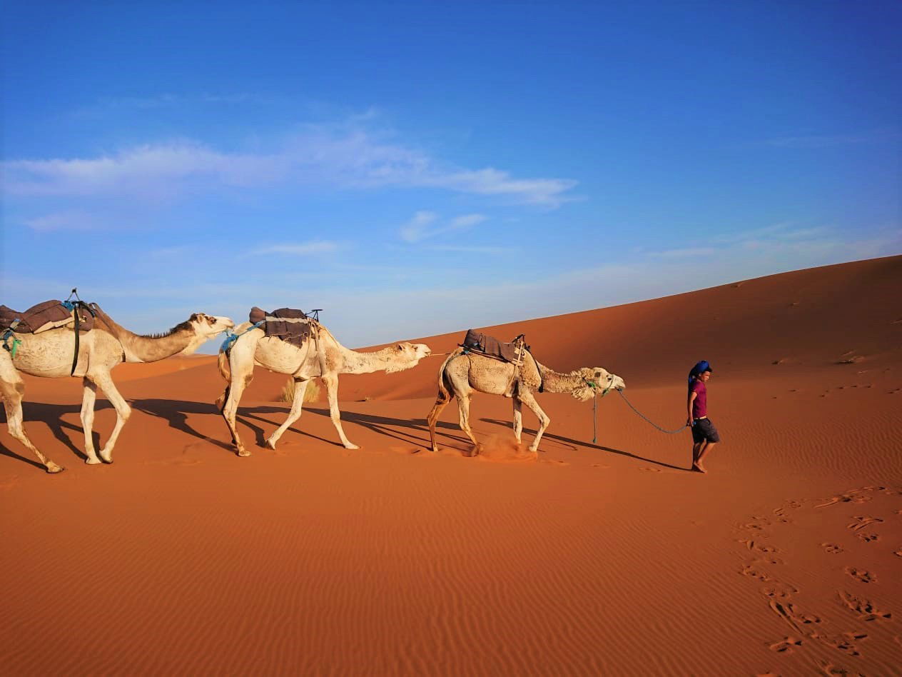 El desierto