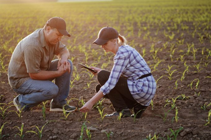 El Parlamento Europeo quiere que la EFSA sea más transparente en materia de seguridad alimentaria