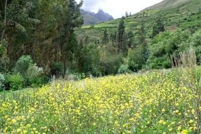 Sobre nosotros image