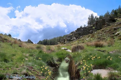 Sobre nosotros image