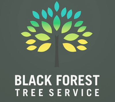 Black Forest Trees