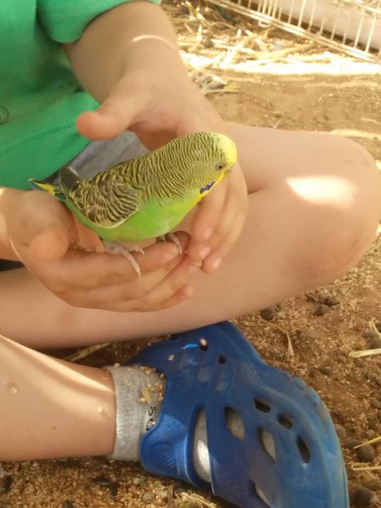 התמודדות עם פרידה