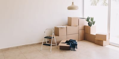 Beyond Boxes: Moving, Packing, and Self Storage