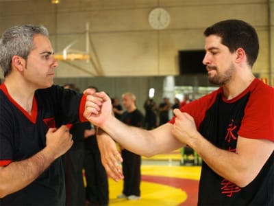 WingTsun Kung Fu image