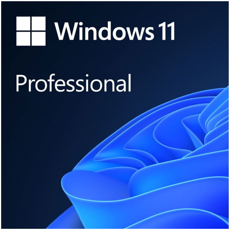 Microsoft Windows 11 Professional