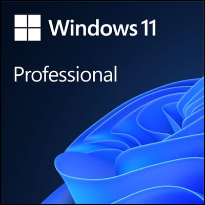 Microsoft Windows 11 Professional