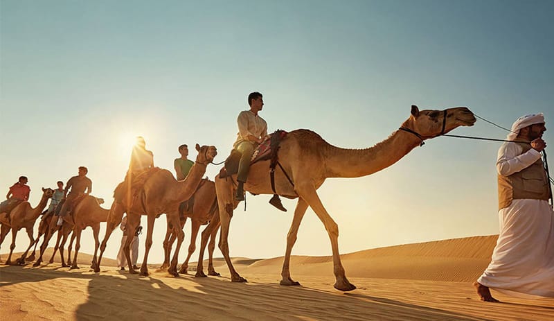 سوق باك -souqpack