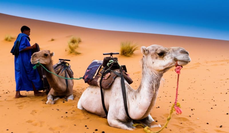 Morocco Stroll