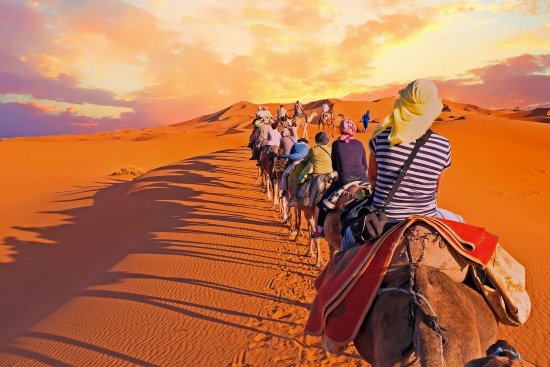 Tropical Desert Trips