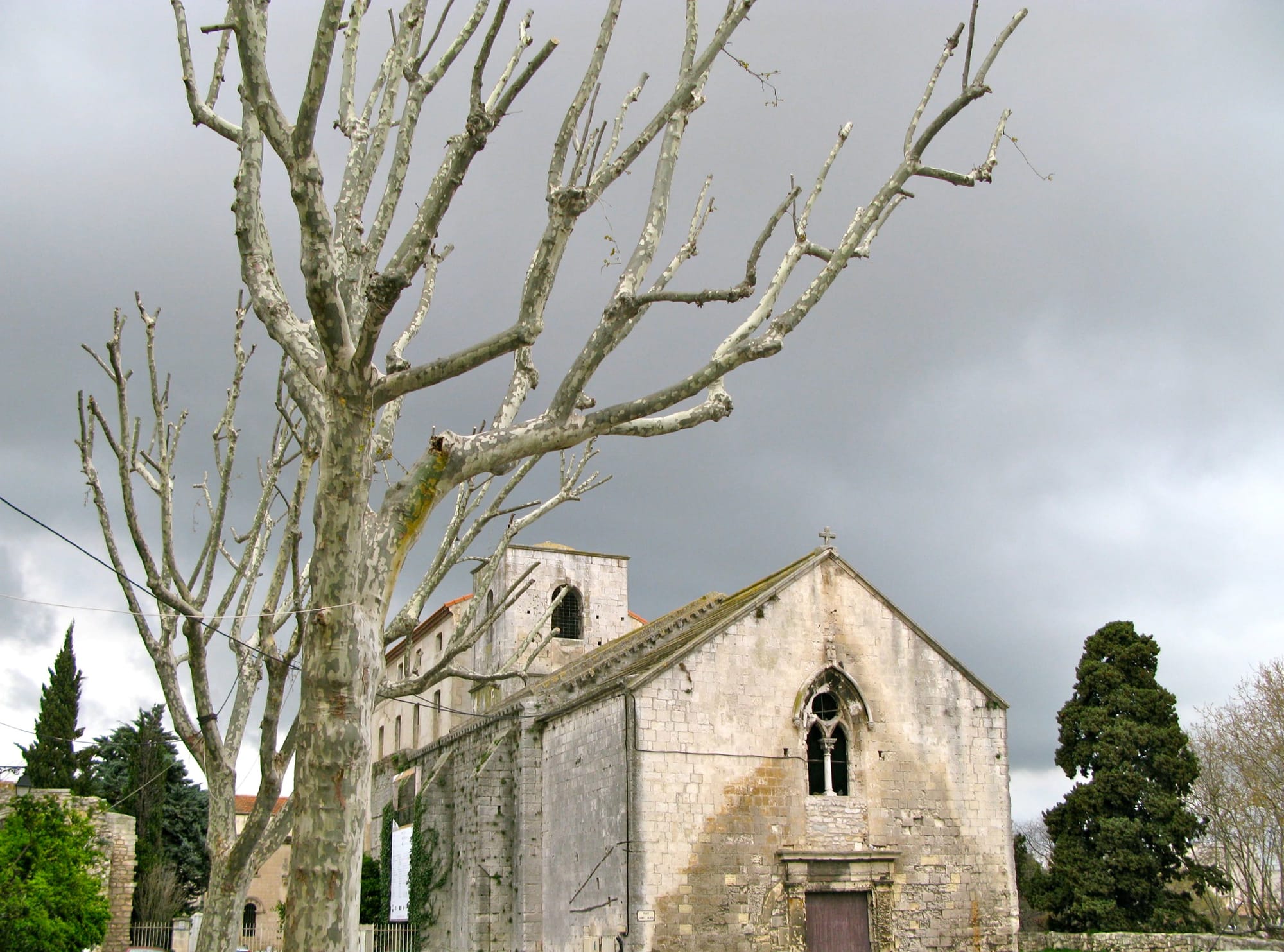 Arles (France)