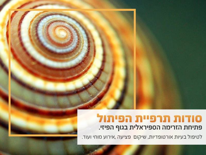 תרפיית הפיתול - Twist Therpay