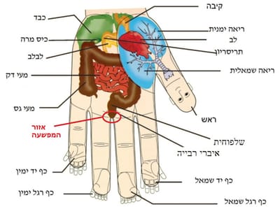 טיפול באמצעות מערכות ההשתקפות