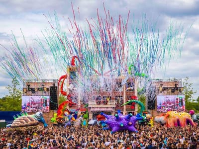 Festi Power image