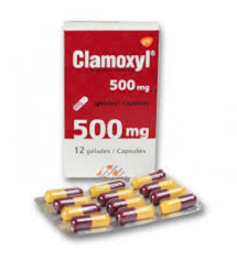 Clamoxyl image