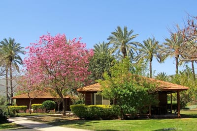 אירוח כפרי בישראל - מלונות מומלצים