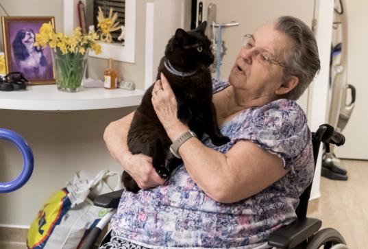 Promenade et soins d'animaux de compagnie pour les personnes dépendantes