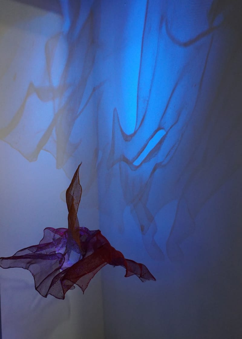 Photograph by Villo Varga - SOLO EXHIBITION