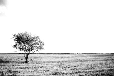Sobre nós image