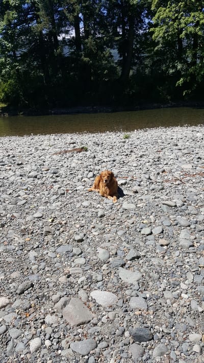 Why Choose Me? image