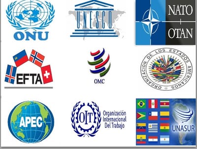 ORGANIZACIONES INTERNACIONALES (concepto)