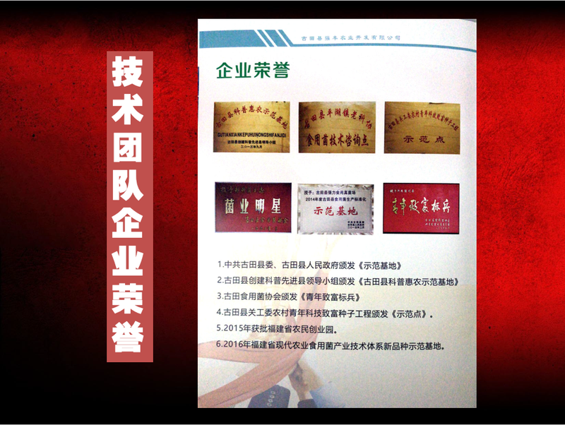 创新技术及发展规模