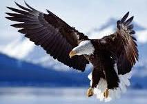 更多商机在嘉多福恒生