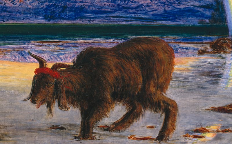 The Scapegoat  by   Wendy Staples