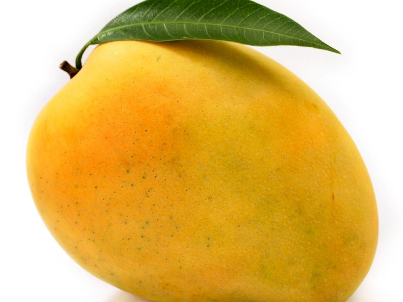 المانجو