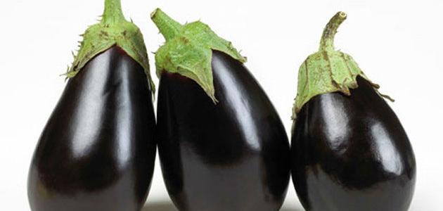 Eggplant