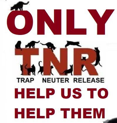 What is Only TNR image