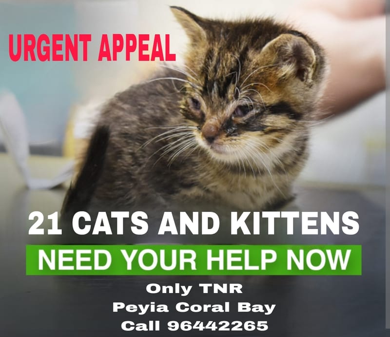 Urgent Appeal For Help