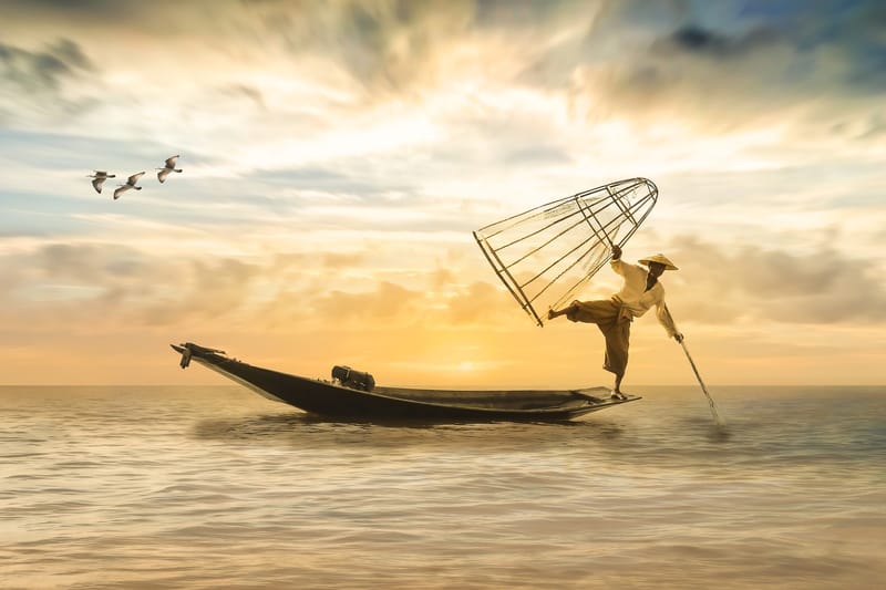 FISH FARMING SUPPORT