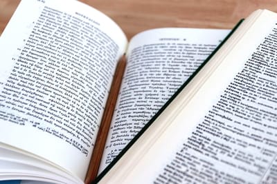 Translation Services image